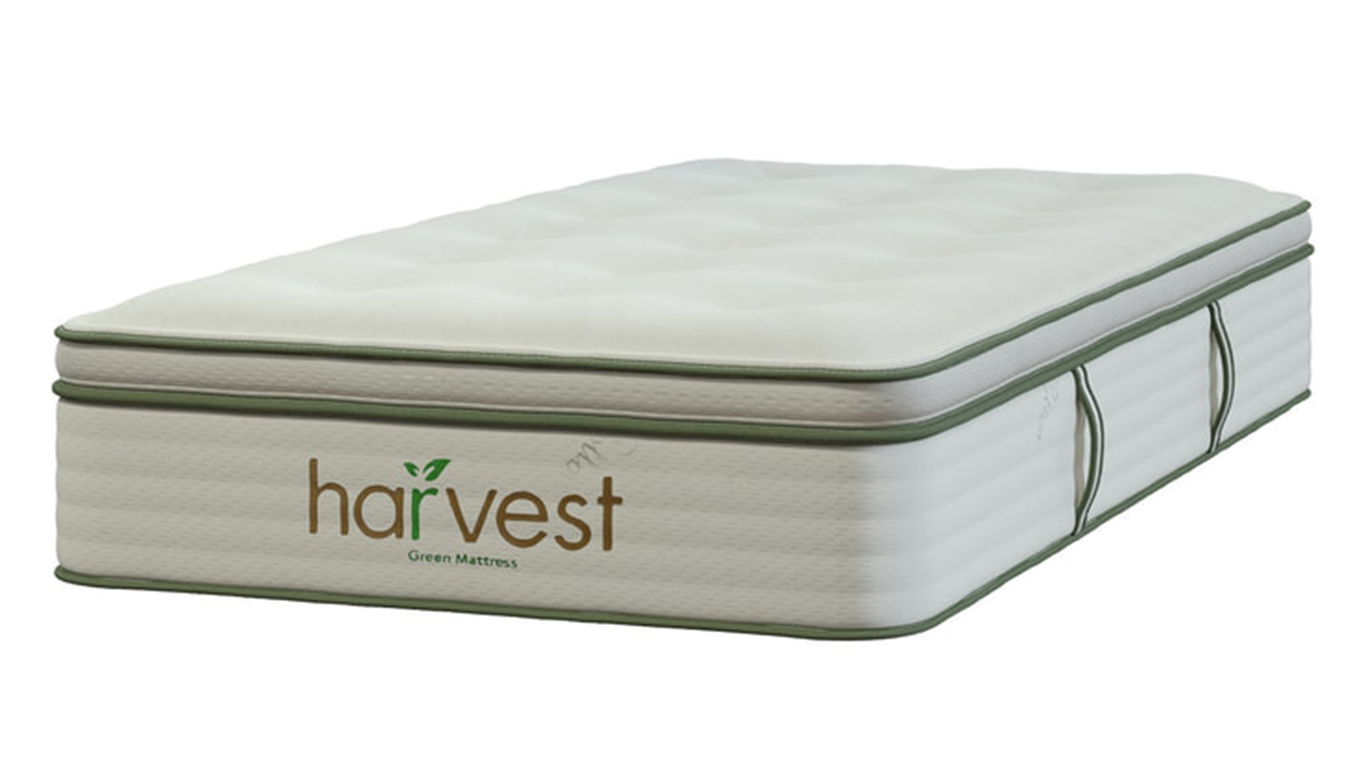 Harvest-Green-Pillowtop-Mattress